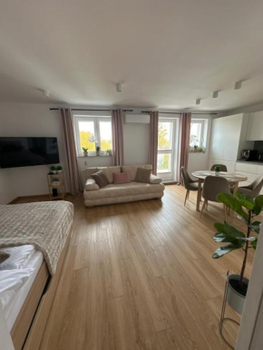 Sunny Studio Apartament & private parking